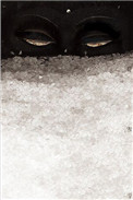 见雪深全文免费阅读txt